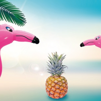 SOMMERFERIENAKTION 2025