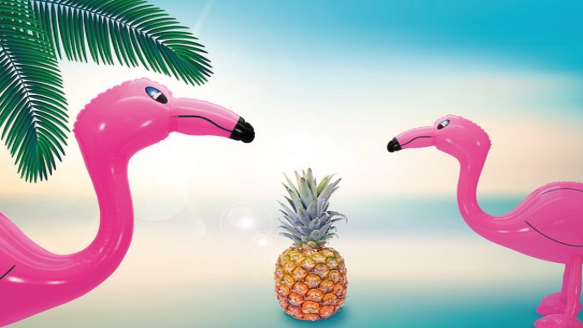 SOMMERFERIENAKTION 2025
