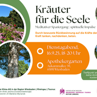 Kräuter für die Seele