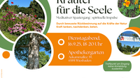Kräuter für die Seele